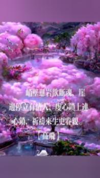她的故事
